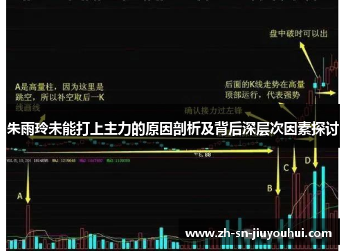 朱雨玲未能打上主力的原因剖析及背后深层次因素探讨