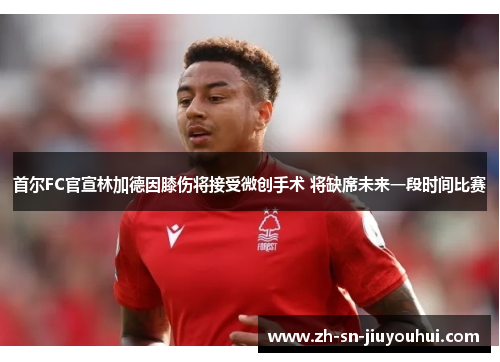 首尔FC官宣林加德因膝伤将接受微创手术 将缺席未来一段时间比赛