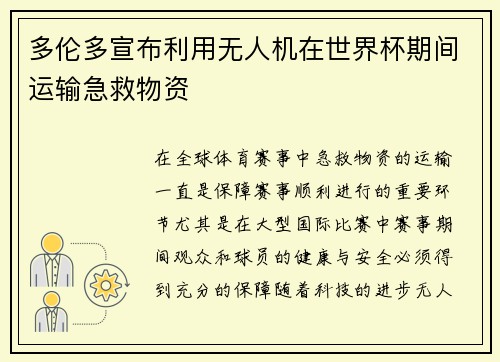 多伦多宣布利用无人机在世界杯期间运输急救物资