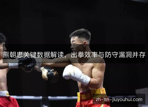 熊朝忠关键数据解读,出拳效率与防守漏洞并存 熊朝忠关键数据解读,出拳效率与防守漏洞并存